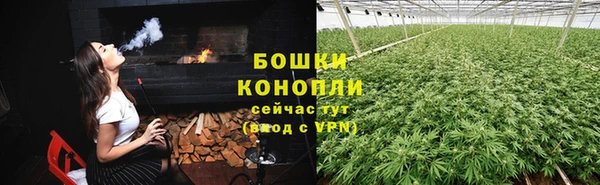 крисы Костерёво