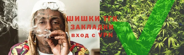СК Коряжма