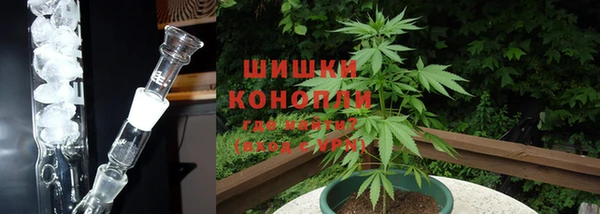 СК Коряжма