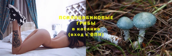 крисы Костерёво