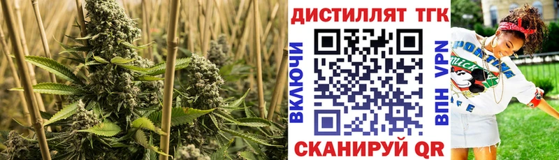 Дистиллят ТГК гашишное масло  Владикавказ 